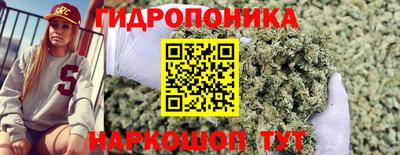 эйфоретик Лесосибирск